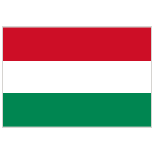 Language Flag